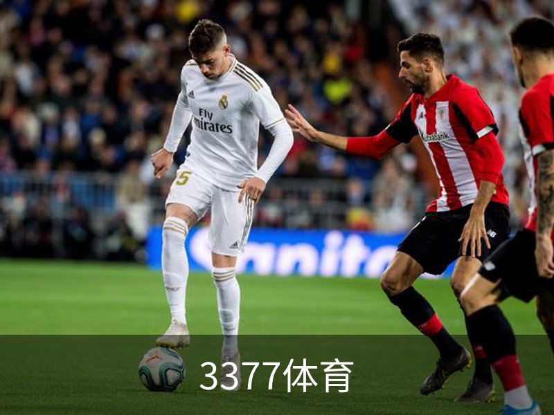 走进3377体育